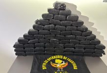 DOF apreende mais de 70 quilos de skunk escondidos em pneus e prende casal em Bataguassu