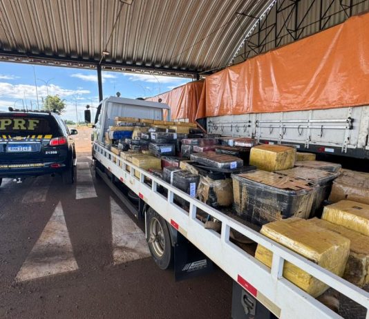 PRF apreendeu na fronteira quase 4 toneladas de maconha que seguiam para o Porto de Paranaguá (PR)