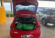 PRF intercepta dois motoristas de aplicativo transportando drogas na região de fronteira do Paraná
