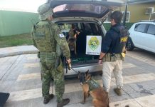 Ação conjunta entre BPFRON e PRF resulta na apreensão de mais de 100 quilos de maconha em Guaíra-PR