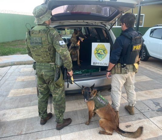 Ação conjunta entre BPFRON e PRF resulta na apreensão de mais de 100 quilos de maconha em Guaíra-PR