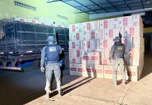 DOF apreende carga milionária de cigarros contrabandeados em Mundo Novo