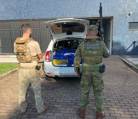 BPFRON e PF apreendem 196 kg de maconha e prendem um homem em Terra Roxa