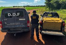 DOF apreende quase uma tonelada de maconha em Guia Lopes da Laguna