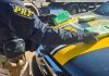 PRF prende caminhoneiro com cocaína ao flagrar tentativa de descarte da droga em Cascavel