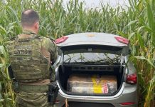 BPFRON apreende mais de 170 quilos de maconha em Juranda
