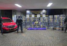 DOF apreende mais de 2,6 toneladas de drogas e recupera veículos roubados em Sete Quedas