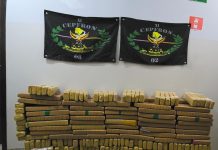 DOF apreende quase 300 quilos de maconha em Nova Andradina