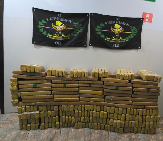 DOF apreende quase 300 quilos de maconha em Nova Andradina