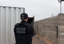 PF cumpre mandado em Guaíra contra comércio ilegal de remédios para emagrecer