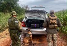BPFRON apreendeu 300kg de maconha em operação conjunta em Guaíra