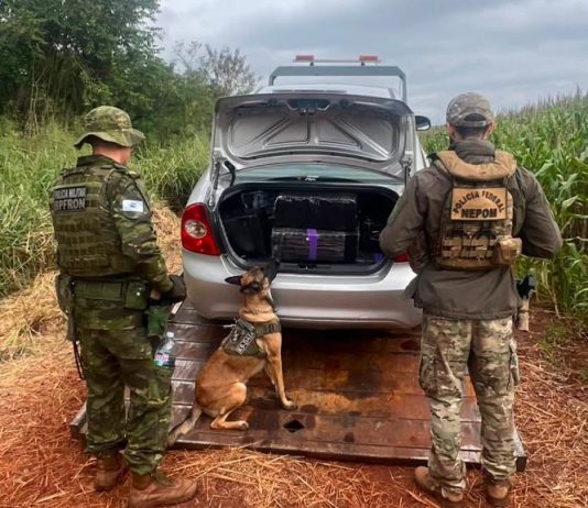 BPFRON apreendeu 300kg de maconha em operação conjunta em Guaíra