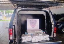 Guarda Municipal de Guaíra apreende cerca de 65kg de maconha