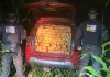 DOF apreende mais de uma tonelada de maconha e recupera veículo furtado após fuga em lavoura de milho em Dourados