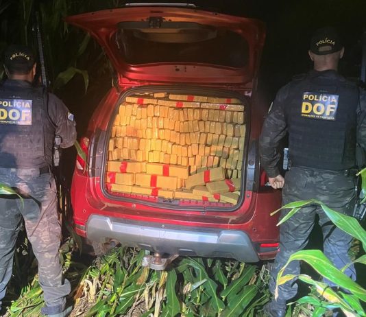 DOF apreende mais de uma tonelada de maconha e recupera veículo furtado após fuga em lavoura de milho em Dourados