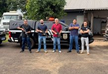 Polícia Civil incinera mais de duas toneladas de drogas em Sete Quedas