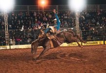 Naviraiense vence rodeio e conquista vaga para festa do Peão de Barretos
