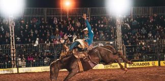 Naviraiense vence rodeio e conquista vaga para festa do Peão de Barretos