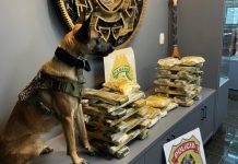 PF e BPFRON prisão de 01 mulher transportando 33kg de droga em Guaira