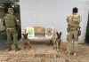 PF e BPFRON realizam prisão de 01 pessoa traficando drogas em Guaira