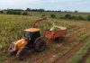 Prefeitura de Itaquiraí auxilia na produção de silagem