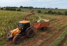 Prefeitura de Itaquiraí auxilia na produção de silagem