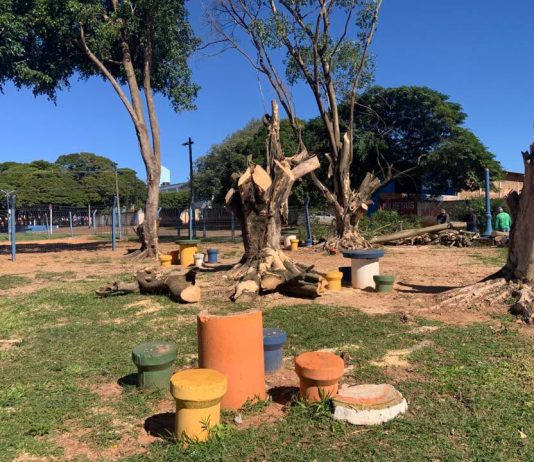 Árvores condenadas são retiradas do Parque da Lavínia em Mundo Novo após análise técnica