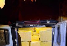 Polícia Civil de Mundo Novo apreende mais de 1 tonelada de maconha em ação contra o tráfico