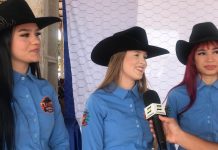 Expotac começa na quinta-feira e candidatas à Rainha misturam cultura e ação beneficente