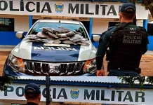 Polícia Militar de Eldorado apreende mais de 14 kg de drogas e prende dois traficantes
