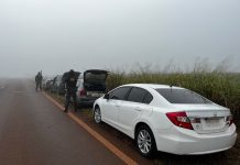DOF desarticula comboio com cinco carros e apreende mais de 400 quilos de drogas em Aral Moreira
