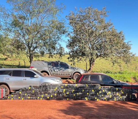 Motoristas furam bloqueio do DOF em Japorã e levam prejuízo de mais de R$ 4 milhões