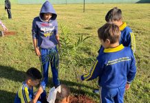 BPFRON recebe alunos da Escola Municipal Rita Ana de Cássia para ação de plantio de árvores no batalhão, em Guaíra
