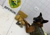 BPFRON apreende drogas e prende homem por tráfico na rodoviária de Guaíra