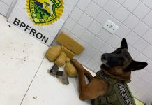 BPFRON apreende drogas e prende homem por tráfico na rodoviária de Guaíra