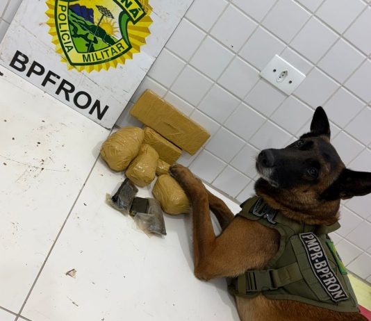 BPFRON apreende drogas e prende homem por tráfico na rodoviária de Guaíra