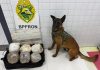 Cão de faro do BPFRON localiza drogas em bagagem durante fiscalização na Ponte Ayrton Senna, em Guaíra