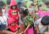 Plantio de ipês marca ação ambiental com alunos da Aldeia Porto Lindo em Japorã