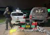 DOF apreende mais de 200 quilos de drogas em Caarapó