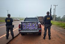 DOF recupera picape furtada e carregada com quase 700 quilos de drogas em Amambai