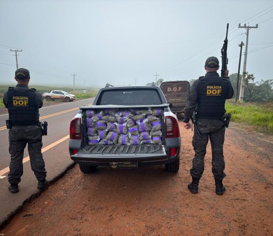 DOF recuperou picape furtada e carregada com quase 700 quilos de drogas em Amambai