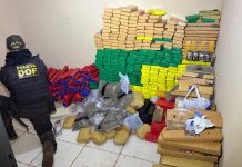 DOF localiza entreposto de drogas em Ponta Porã e apreende quase uma tonelada de entorpecentes