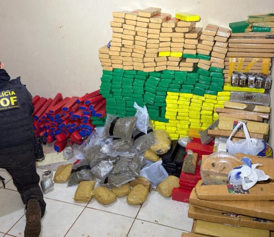 DOF localiza entreposto de drogas em Ponta Porã e apreende quase uma tonelada de entorpecentes