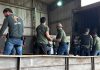 DEFRON coordena incineração de quase 20 toneladas de drogas apreendidas pelas forças de segurança na fronteira
