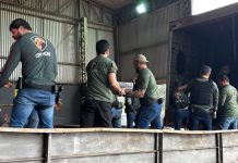 DEFRON coordena incineração de quase 20 toneladas de drogas apreendidas pelas forças de segurança na fronteira