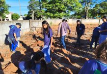 Alunos da Escola Oito de Maio participam de aula prática sobre cultivo de mandioca em Iguatemi