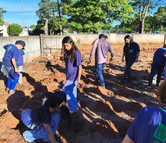Alunos da Escola Oito de Maio participam de aula prática sobre cultivo de mandioca em Iguatemi