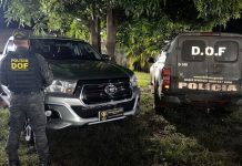 DOF recuperou caminhonete furtada e prende duas mulheres em Amambai