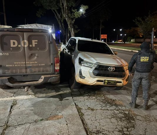 DOF prendeu homem com caminhonete adulterada em Coronel Sapucaia