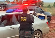 DOF prende dupla com maconha e skunk após perseguição em Tacuru